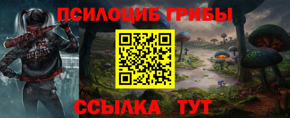 Зерноград  Псилоцибиновые грибы мицелий  Вход с VPN  Галлюциногенные грибы Cubensis 